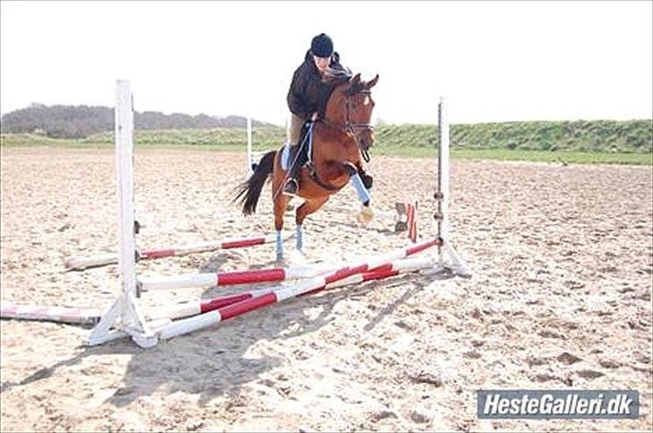 Sportsaraber (A) Poldehøjs Rasmine <3 - springtræning d. 8/4 2009  billede 2