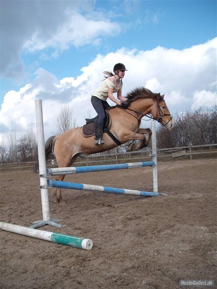 Anden særlig race Kashmir  - Spring Træning Med Sebrina. 80/90cm Elsker Dig Bamse billede 11