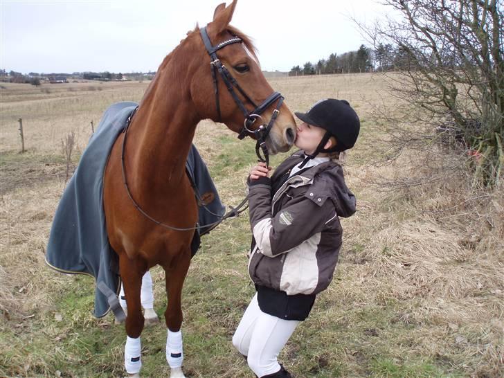 Hollandsk Sportspony Carina *70% arabisk blod* - 21.02.09 - 3. plads i LB2 :D her står vi lige og hygger ;)<3333 billede 14