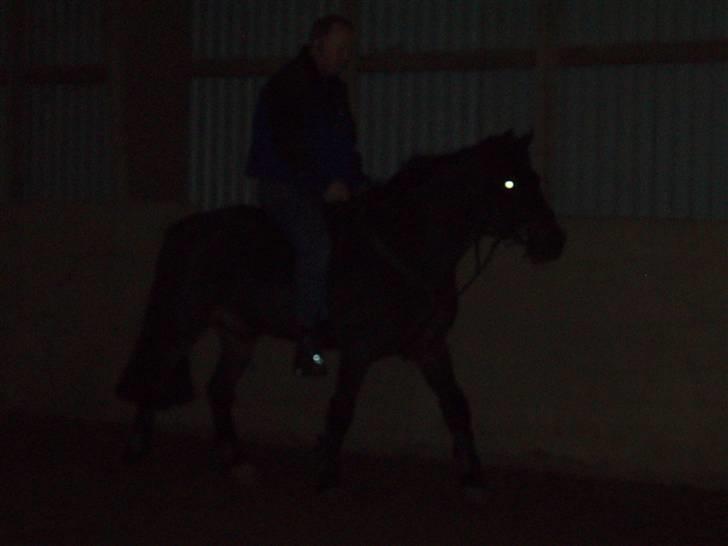 Anden særlig race Master Toby - her er Mette´s far oppe og ride mig det var sjovt<3 foto:mig billede 6