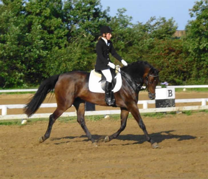 Anden særlig race Rosenhavens Freja | Solgt billede 15