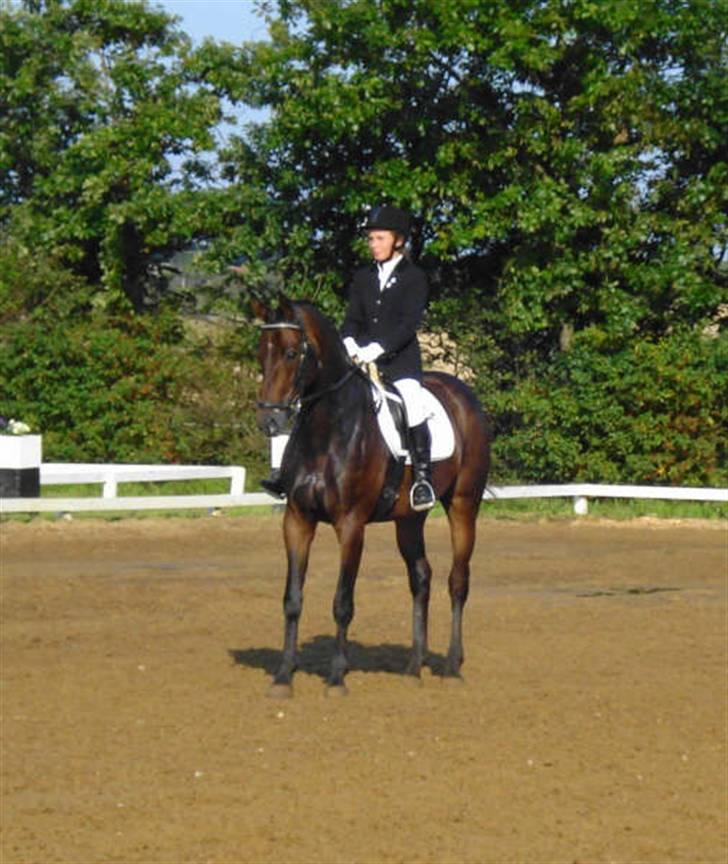 Anden særlig race Rosenhavens Freja | Solgt billede 18