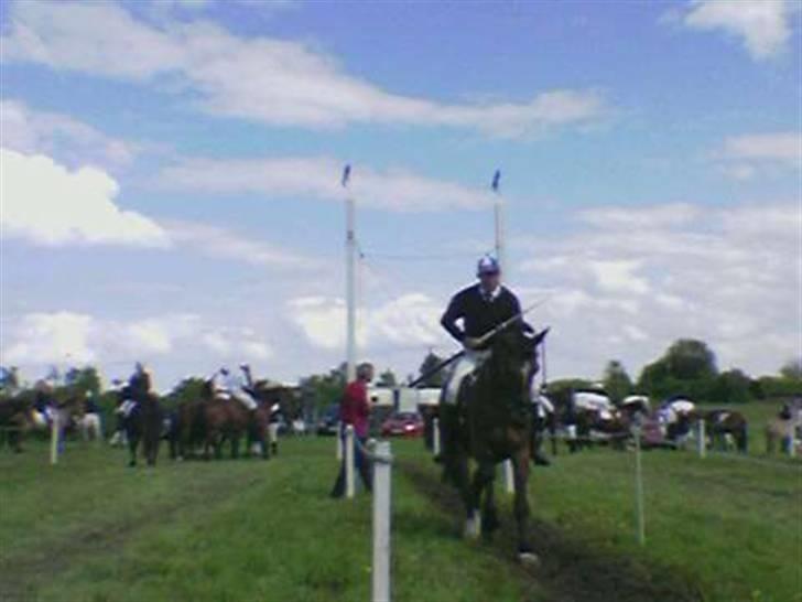 Oldenborg Devina billede 1
