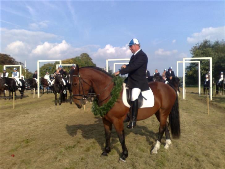 Oldenborg Devina billede 3