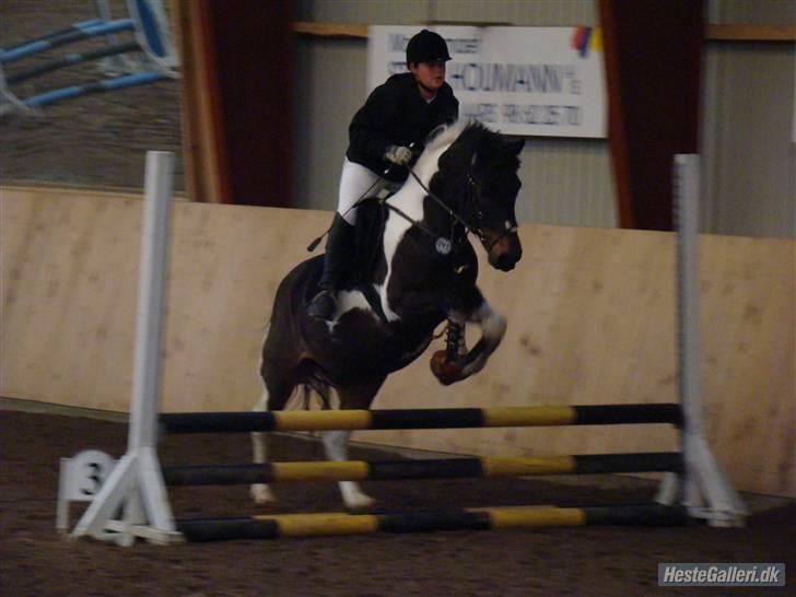 Anden særlig race zippolight (SOLGT) - Stævne i års.. Ld Spring vi fik 4 fejl, men zippo gik skide godt.. billede 20