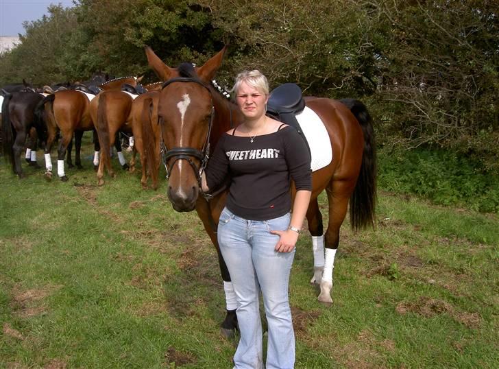Oldenborg Devina billede 6