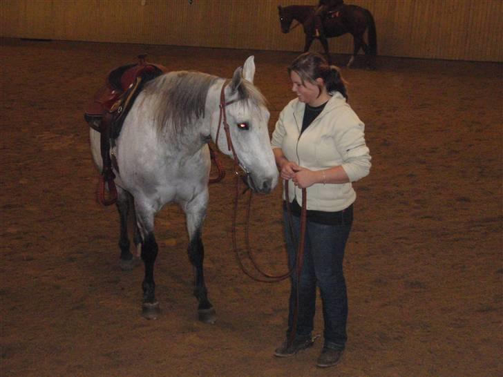 Anden særlig race Casey billede 1