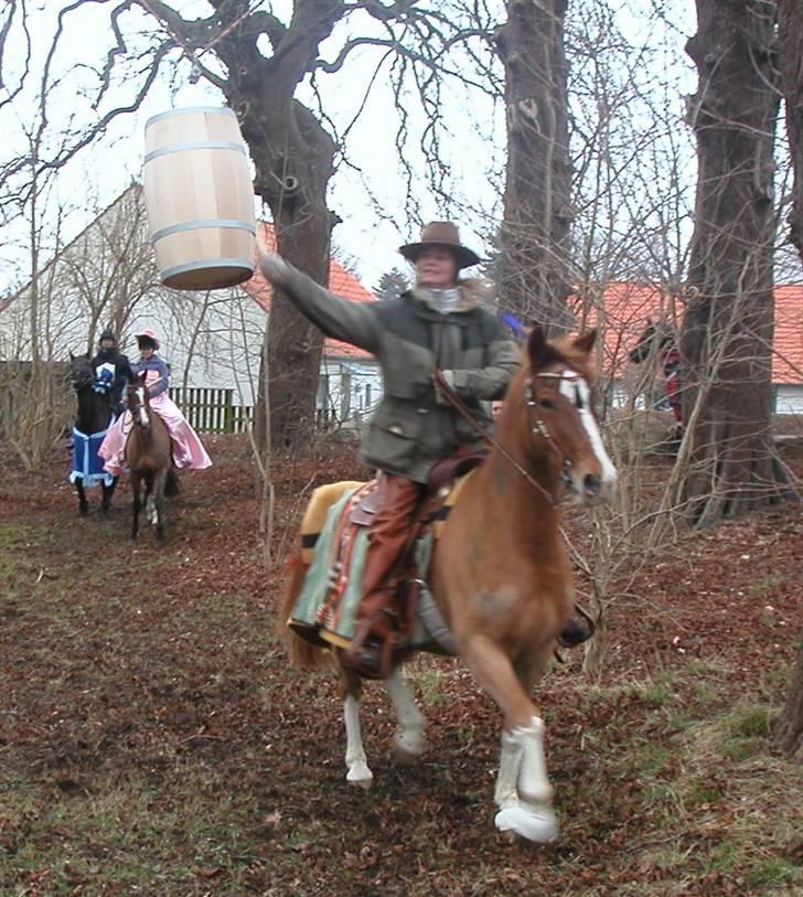 Palomino Fortunens Starlight billede 7