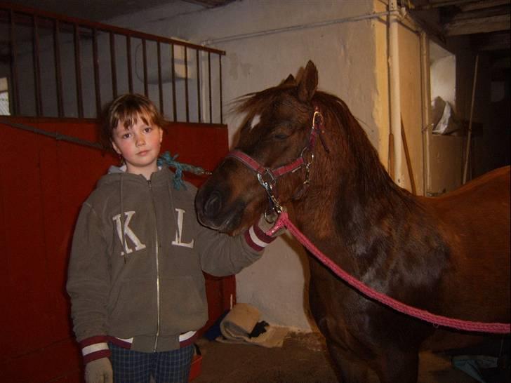 Anden særlig race Freja (rider) - jeg er for træt du red mig for hort billede 13