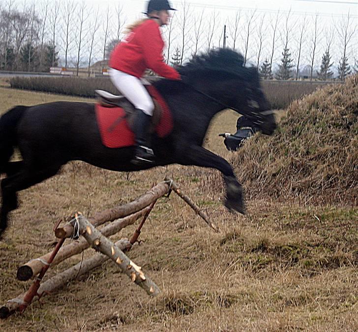 Oldenborg Hr. Lakrids <3   - Første jagt. d. 28/03-2010 billede 19