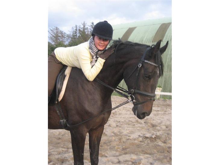 {{currentPhoto.altText}} billede {{currentPhoto.number}}