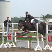 DSP sønderlunds salina*solgt*