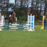 Anden særlig race Ejendoms Baloo SOLGT