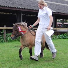 Miniature "Skovgårdes Banana Split"