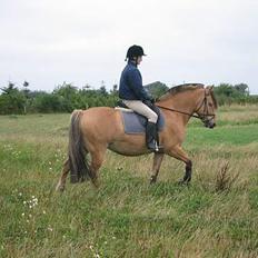 Anden særlig race Nuka (død) )O=