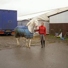 Anden særlig race unicorn(solgt)