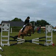 Anden særlig race Hyldtoft´s Snerle