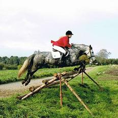 Connemara Baunely's Daphne