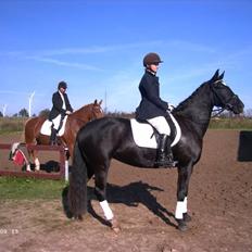 Anden særlig race Ebony *Solgt*