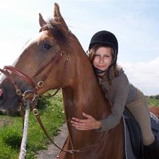 Dansk Varmblod Winzerkind 