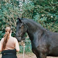 Frieser Nancy død d.19-02-2009