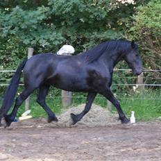 Frieser Nancy død d.19-02-2009