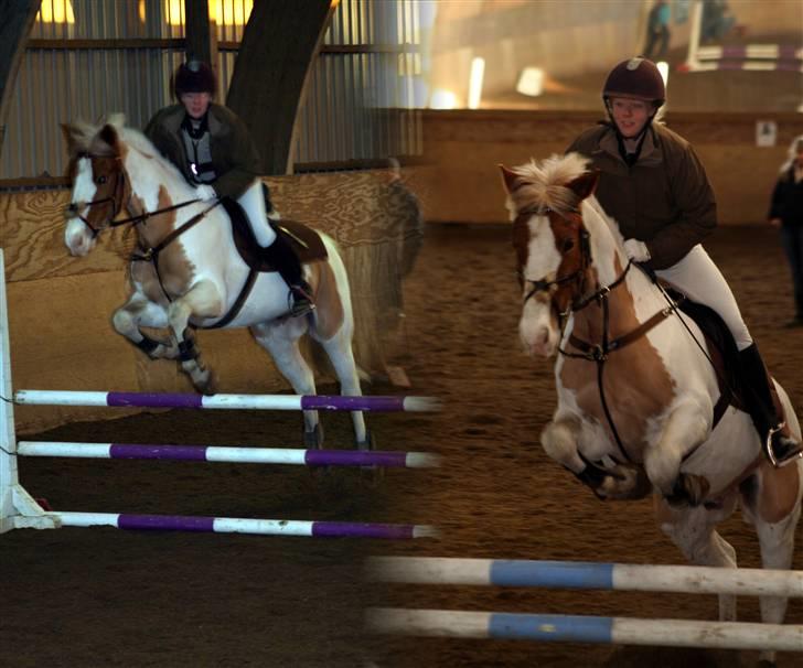 Anden særlig race Joe - hvil i fred - Til stævne på Løsr. Max 80. billede 4