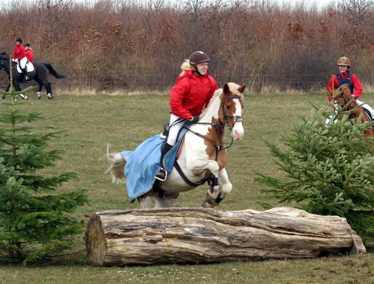 Anden særlig race Joe - hvil i fred - Til jagt i Sperrestrup, yes! billede 5