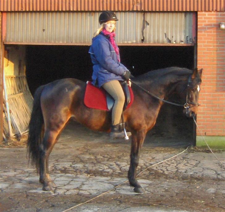 Anden særlig race Chili In Action - Josefine på Chili, januar 2009 billede 13
