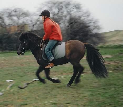 Islænder Hrafntinna fra Hejelte - Rap på banen (med min søster) billede 14