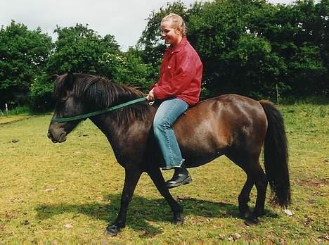 Islænder Hrafntinna fra Hejelte - Nææ hvor er du dygtig Rappe!! igen med min søster.. billede 15