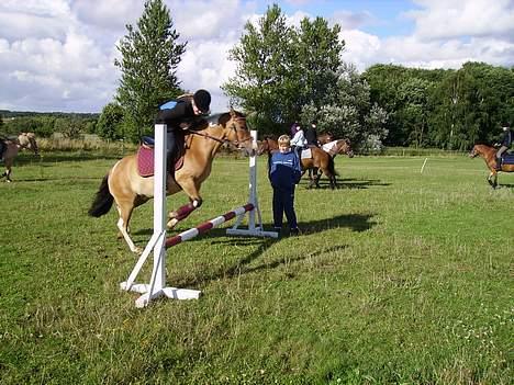 Anden særlig race Laika - Min søster og Laika springer billede 18