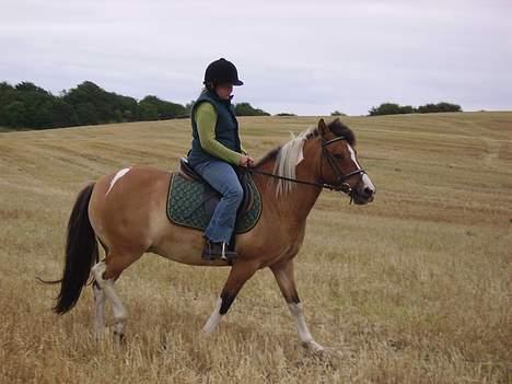 Anden særlig race Laika - Olivia og Laika ved vores ridelejr 2005 billede 20