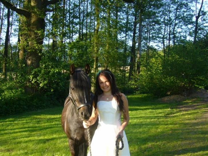 New Forest Elmholts Favorit RIP :( - you are the best :* RIP billede 1