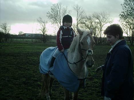 Palomino Lukas solgt :'( - Annika red lidt rundt på ham.. hehe .. hun er bare ved at være rigtig dygtig, hun red skridt, trav og galop :) billede 19