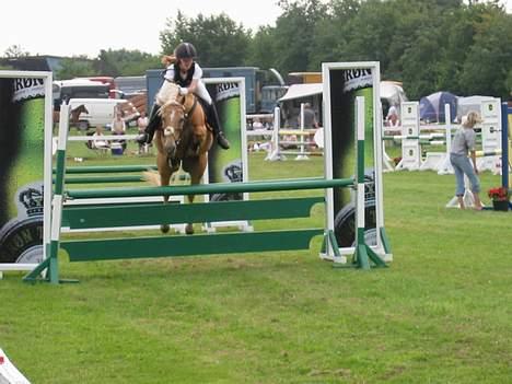 Palomino Lukas solgt :'( - MB.. billede 20