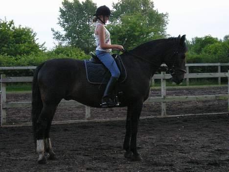 Oldenborg Marco billede 2