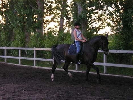Oldenborg Marco - undervisning en sommeraften... se lige venstre has... Wow...! hehe.. min hest! billede 3