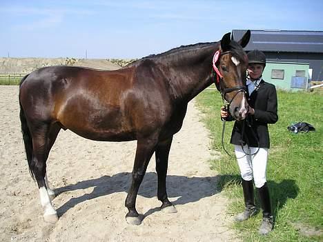 Oldenborg Marco - se! vi fik to røde med hjem.. hehe.. dejligt   :o) billede 5