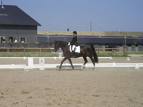 Oldenborg Marco billede 6