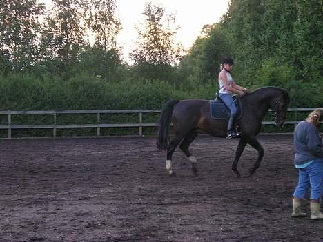 Oldenborg Marco - stadig undervisning...! billede 7