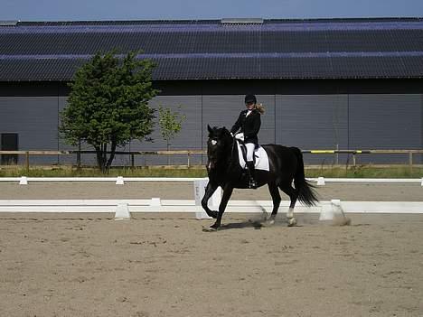 Oldenborg Marco billede 8