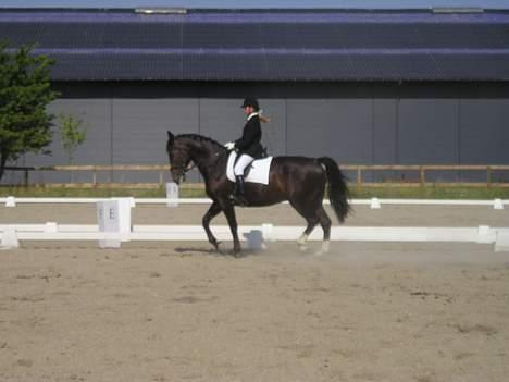 Oldenborg Marco - WooW, ser vi bar lig godt ud ell hva..? bar syndt det er lidt slørret...! billede 9