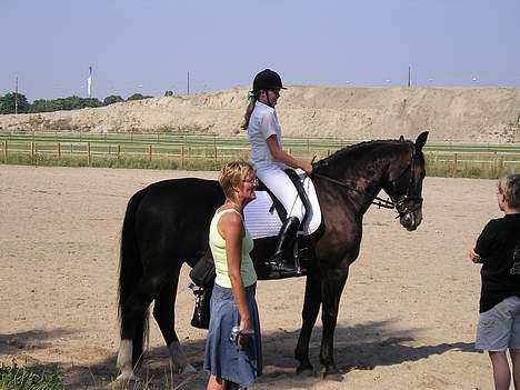 Oldenborg Marco - glade, tilfredse g bare super gode.! billede 11