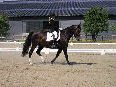 Oldenborg Marco billede 12