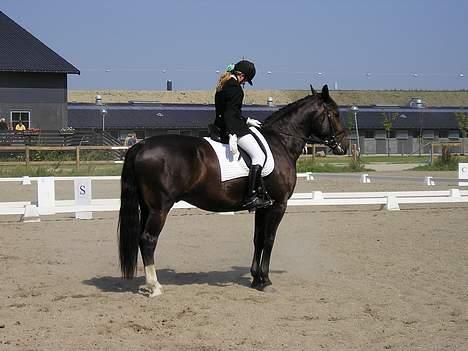 Oldenborg Marco - Pænt farvel fra os...!   =o) billede 13