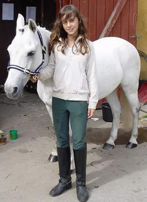 Connemara Jolly Jumper *SOLGT* - igeng med at strigle. bkev et lidt kikset billede billede 3