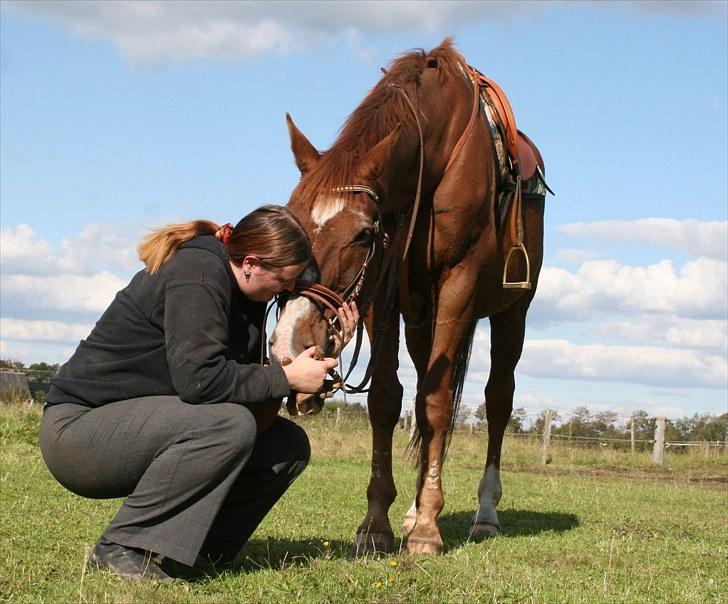 Dansk Varmblod C-Mol *For evigt elsket <3* - Molle og mig tirsdagen inden han skulle væk :´( billede 4