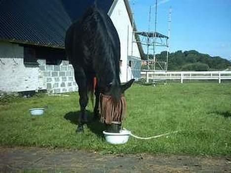 Oldenborg lise - mums det her er for lækkert:-) billede 9