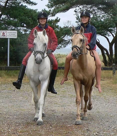 New Forest Odbjergs Pikant-solgt - Pikant, mig, Julie & Balasjow iiih vi hyggede (; billede 13